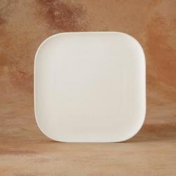 Squircle Dinner Plate