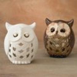 Owl Lantern