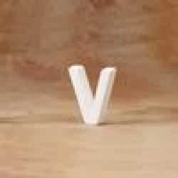 Standing/Hanging Letter V