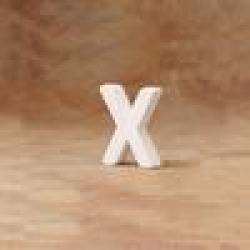 Standing/Hanging Letter X