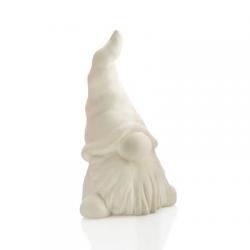 Gnome Party Animal