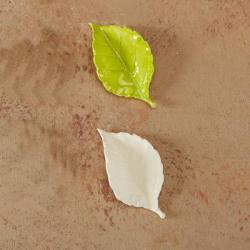 Oval Leaf Bisque