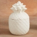 Pineapple Canister w/ Gasket
