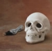 Skull w/ Light Kit