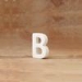 Standing/Hanging Letter B