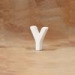 Standing/Hanging Letter Y