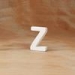 Standing/Hanging Letter Z