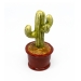 Cactus - Potted